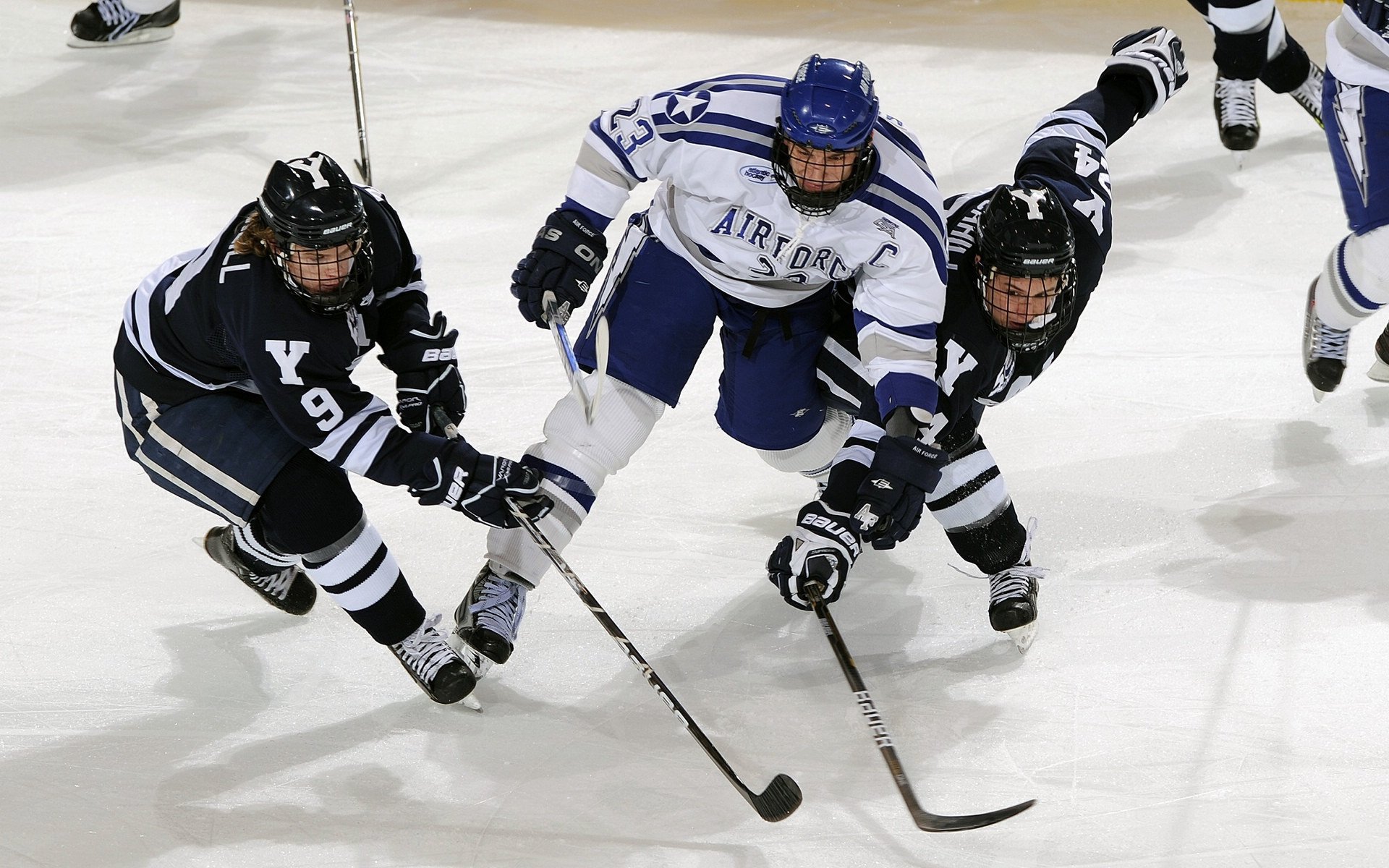 法国青训项目的国际化发展，进一步巩固全球橄榄球地位，法国篮球青年队